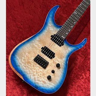 Ormsby Guitars HYPE G6 STD EXO MH BB