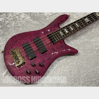 Spector Euro 5LX PW LTD (Magenta Pink Gloss)