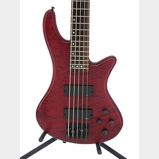 ベース、SCHECTERの検索結果【楽器検索デジマート】