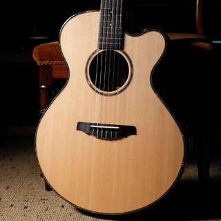 アコースティックギター／エレクトリック・アコースティックギター