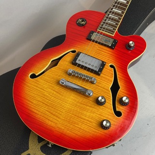 Epiphone ALLEYKAT HS