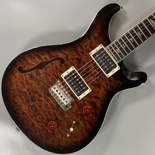 Paul Reed Smith(PRS)、SE custom22 Semi-Hollowの検索結果【楽器検索