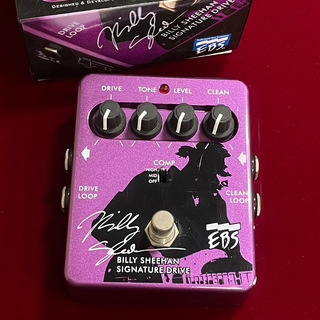 EBS Billy Sheehan Signature Drive 【中古】【箱取説付】