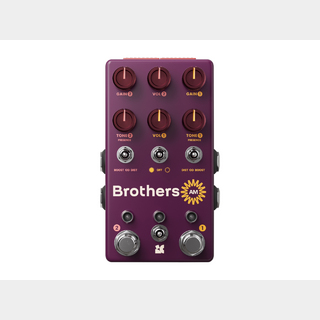 Chase Bliss Audio Brothers AM