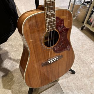 Epiphone 【現物写真】Hummingbird Koa SPL