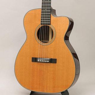 アコースティックギター、インディアンローズウッド OR Indianの検索