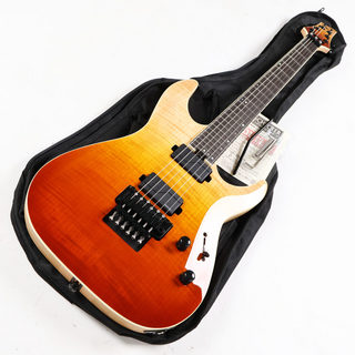 エレキギター、SCHECTERの検索結果【楽器検索デジマート】
