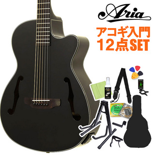 ARIA FET-F2/BnG アコースティックギターギター初心者12点セット エレアコギター