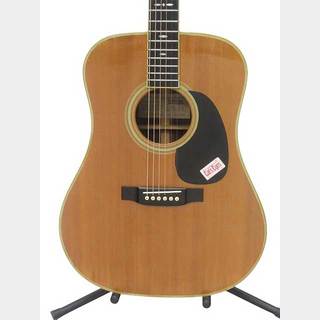 アコースティックギター／エレクトリック・アコースティックギター