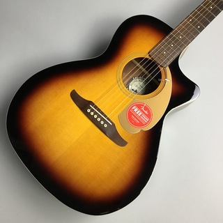 Fender Newporter Player