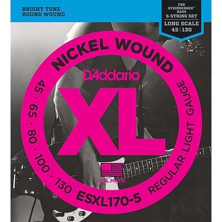 D'Addario XL Nickel Round Wound ESXL170-5