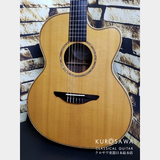 AVALON Guitarsアバロン ギターズ 2003-2004年製 A32J スプルース ローズウッド エレガット【日本総本店2F在庫品】