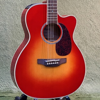 エレクトリック・アコースティックギター、Takamineの検索結果【楽器