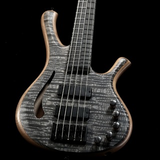 Shikagawa Musical InstrumentsDorado Bass DC 5st/Semi-Hllow