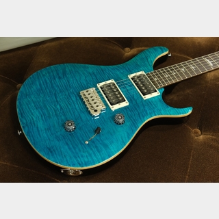 Paul Reed Smith(PRS) SE Custom 24 / Blue Matteo