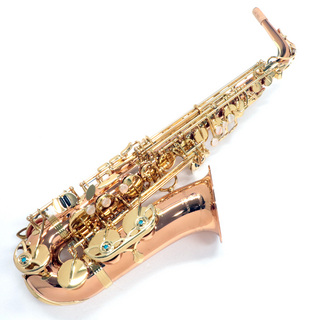 YANAGISAWA アルトサックス A-WO2