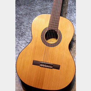 Orpheus Valley Guitars 【小物6点サービス!】Fiesta F65C 杉 / ローズウッド【深い音色です】【現物写真】【池袋店在庫品】