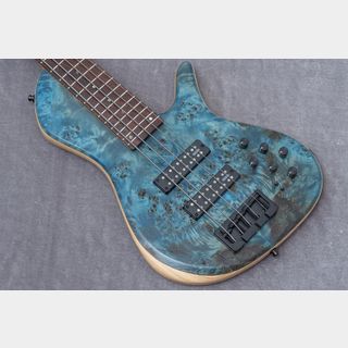 Capurso Guitars Georgius Deluxe 5st 3.910kg【GIB横浜】