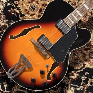 エレクトリックギター ＞ フルアコ、Ibanezの検索結果【楽器検索