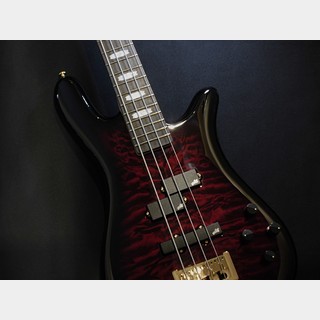 Spector Icon NS-2 Bolt-On 4 / Black Cherry Gloss【4弦】