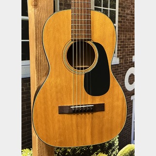 アコースティックギター／エレクトリック・アコースティックギター