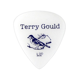 PICKBOYGP-TG-T/100 Terry Gould 1.00mm ギターピック×10枚