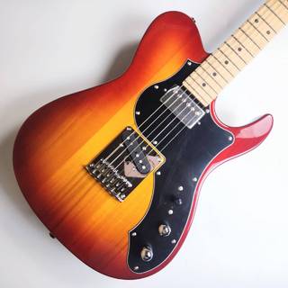 FUJIGEN(FGN) BIL2-M-HS