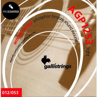 Galli Strings AGP1253 Light Phosphor Bronze アコースティックギター弦 .012-.053【WEBSHOP】
