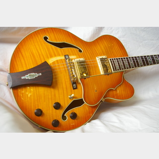 エレクトリックギター ＞ フルアコ、Ibanezの検索結果【楽器検索