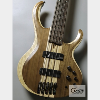 Vantage ベース 6弦 スルーネック スルーネック 5弦の検索結果【楽器