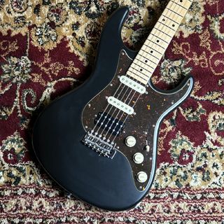 FREEDOM CUSTOM GUITAR RESEARCH EZa ssh