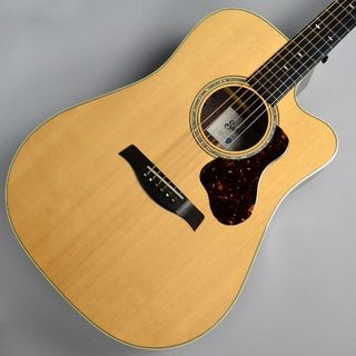 Switch Custom GuitarsD-70C