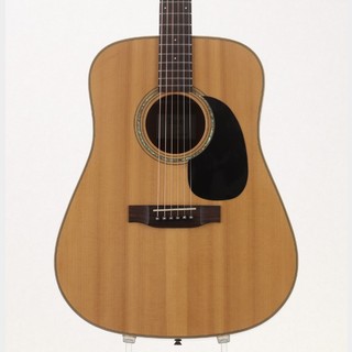 アコースティックギター／エレクトリック・アコースティックギター