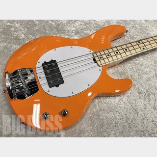 Sterling by MUSIC MAN Intro Series Ray2【Sunrise Orange】