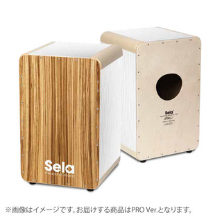 Sela WAVE PRO WHITE ZEBRANO カホン PROver.