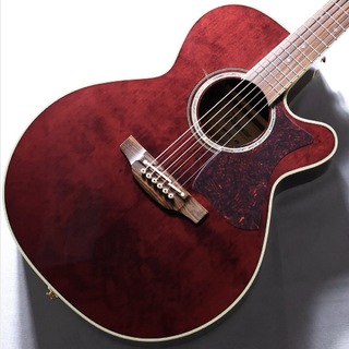 アコースティックギター／エレクトリック・アコースティック