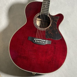 Takamine DMP50S Wine Red【現物画像】