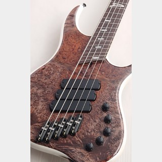 DINGWALLの検索結果【楽器検索デジマート】