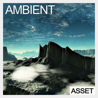 INDUSTRIAL STRENGTH AMBIENT - ASSET