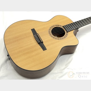 Taylor NS24CE 【返品OK】[MMN83]【梅田店在庫】