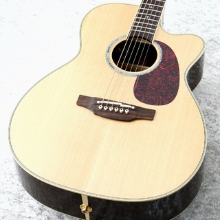 エレクトリック・アコースティックギター、Takamineの検索結果【楽器