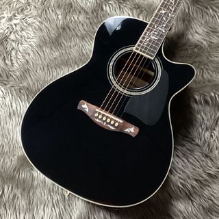 Ibanez 【現物画像】AC391RCE エレアコギター