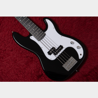 エレクトリック・ベース、woofyの検索結果【楽器検索デジマート】