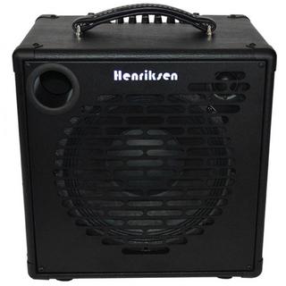 Henriksen Amplifiers 10インチスピーカーコンボアンプ The Bud TEN画像1