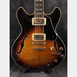 エレクトリックギター ＞ セミアコ、Ibanezの検索結果【楽器検索
