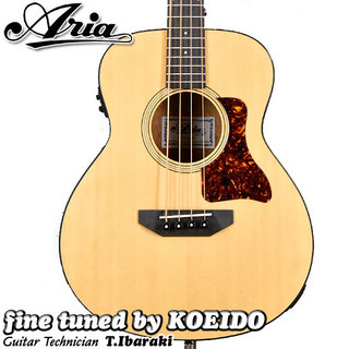 アコースティック・ベース／エレアコ・ベース ＞ 一般の検索結果【楽器