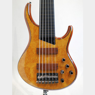 MTD Kingston Z Fretless 6st