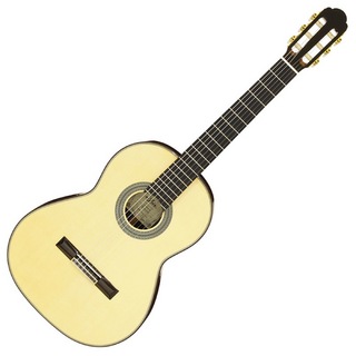 ARIAA-200S Basic クラシックギター ライトフォームケース付き