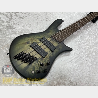 Spector NS Dimension 5【Haunted Moss Matte】