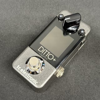 ギター tc electronic DITTO STUDIO LOOPER Pedal TC Electronics Ditto + Looper | 99 Slots | 60 Minutos